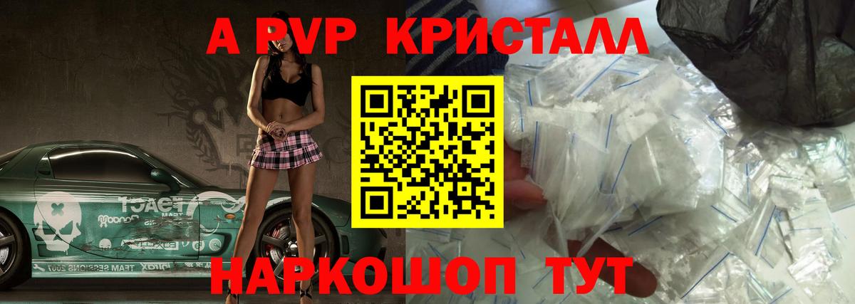 A PVP СК Сургут