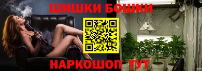 хмурый Новозыбков