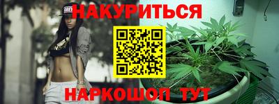 альфа пвп Новодвинск