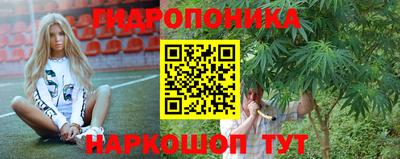 хмурый Новозыбков