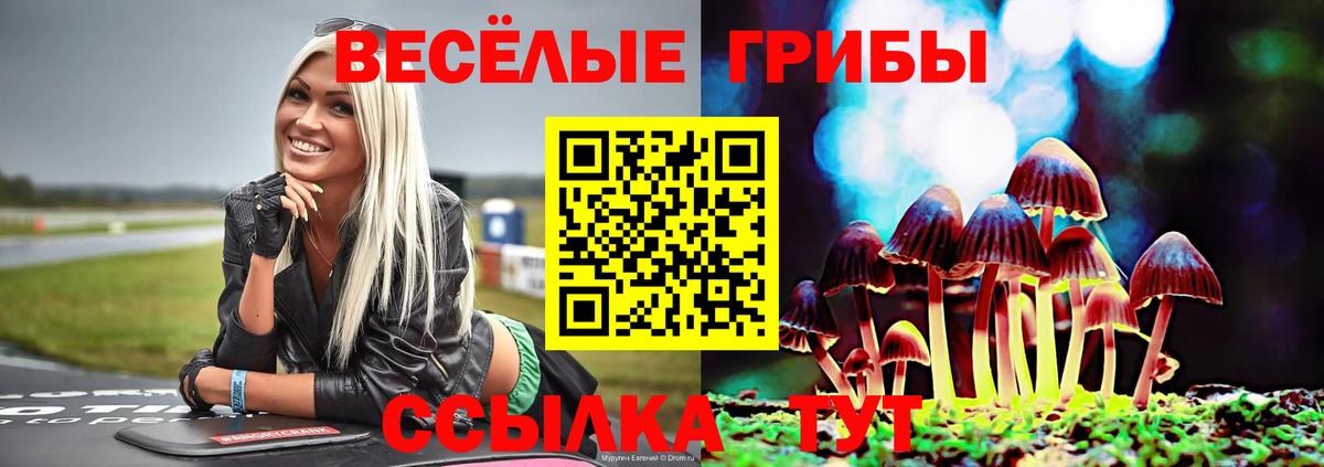 Галлюциногенные грибы GOLDEN TEACHER  Галлюциногенные грибы мухоморы  Вход с VPN  Сургут 